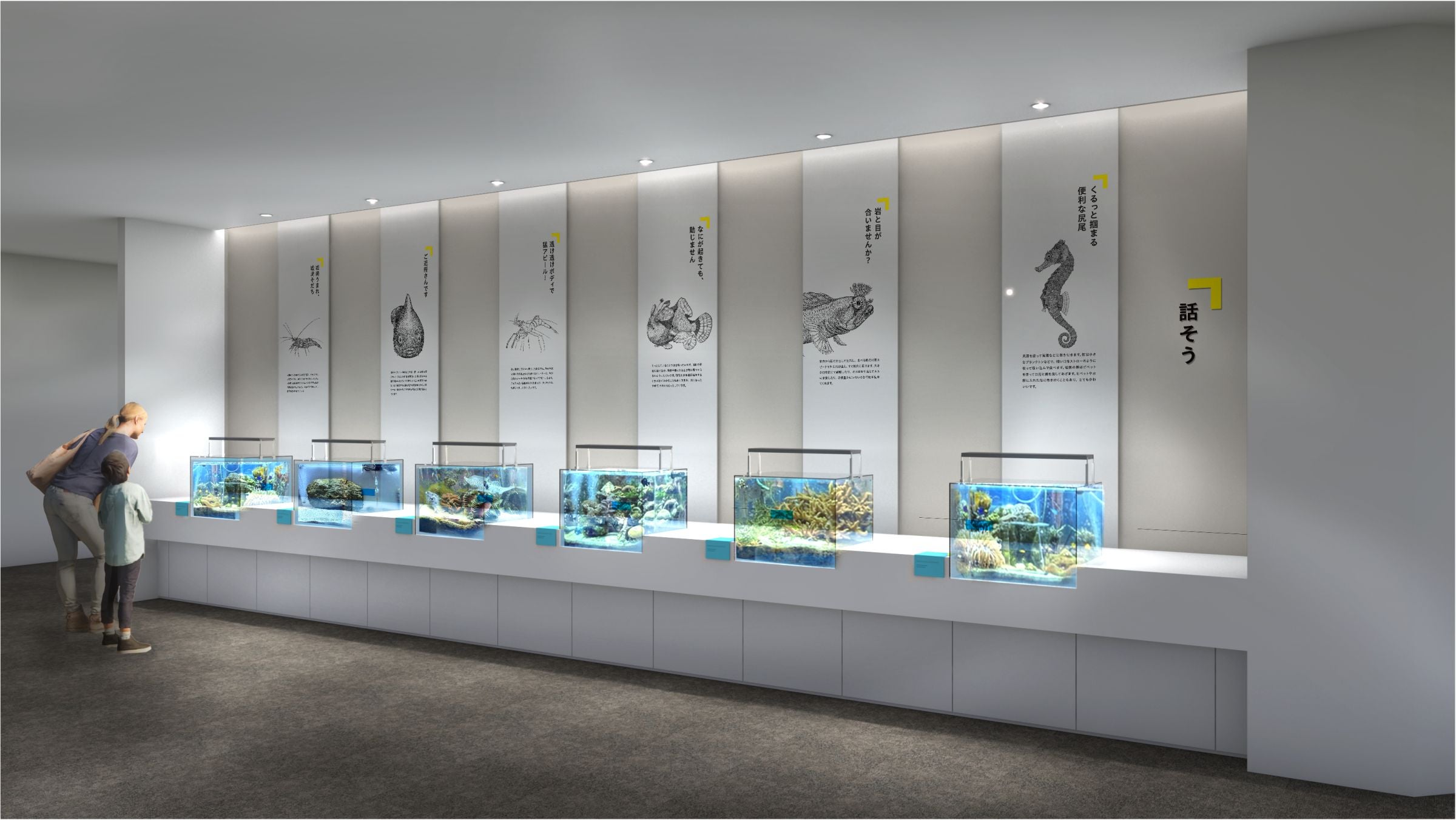 城崎マリンワールドの魚類展示エリア「SeaZoo」7月25日リニューアル